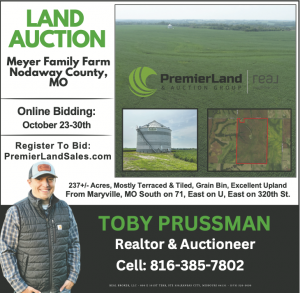 Land Auction